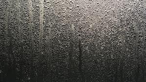 Mositure on Windows - Moisture on windows that may flow to window sills and may cause molds form Mositure on Windows - Moisture on windows that may flow to window sills and may cause molds form