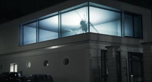 spiders in the house - Would you go for a visit? spiders in the house - Would you go for a visit?