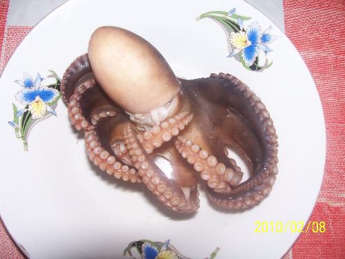 Octupos - A little boiled octopus ready to be eaten