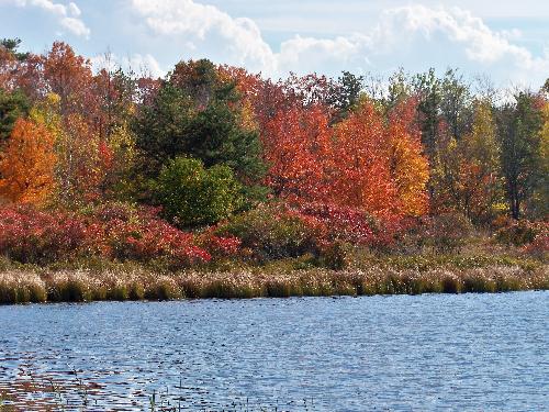 The colors of Fall on the lake - Beautiful colors by the lake on a clear and sunny Fall day.