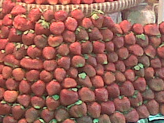strawberry - The season of berries.