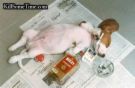 Dog - Dog