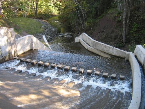 American Eel Ladder - This is a 'ladder' for eels to be able to bypass a dam and reach their spawning grounds.