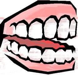 false teeth - how will life be with false teeth?