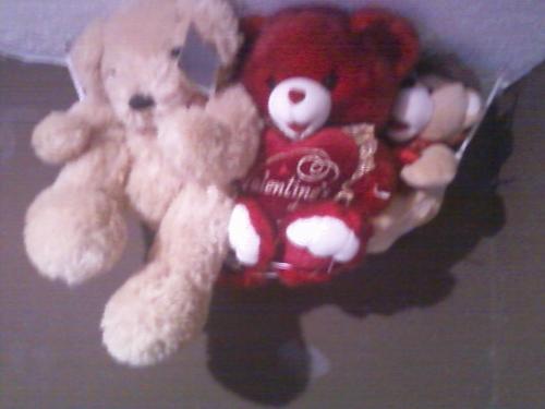 Stuffed animals.. Two are from Valentines Day a fe - Stuffed Animals in a net