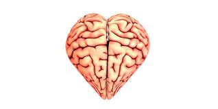 heart or brain - http://www.google.com.ph/imgres?q=heart+and+brain+images&hl=fil&sa=X&biw=1280&bih=629&tbm=isch&prmd=imvns&tbnid=lwZ9h68WJ2Bj9M:&imgrefurl=http://www.doctordisruption.com/category/brain-science/&docid=w9sJHuILyQjgxM&imgurl=http://www.doctordisruption.com/wp-content/uploads/2010/05/heart-and-brain.jpg&w=500&h=250&ei=v9aYUJ6CHqWLmwX2hIDoBQ&zoom=1&iact=rc&dur=517&sig=111204317108160445690&page=1&tbnh=122&tbnw=207&start=0&ndsp=19&ved=1t:429,r:8,s:0,i:89&tx=105&ty=62