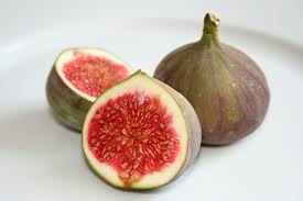 fig - the fruit fig fig - the fruit fig