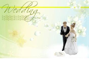 Wedding  - I am sorry to say that I cannot attend my nephew&#039;s wedding party today because I am faraway from them and busy with my work.