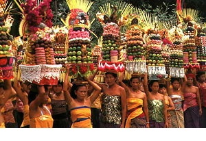 bali - this is an image of ritual ceremony in bali.. There are alot of ritual in bali.