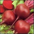 beetroot - picture of beetroot