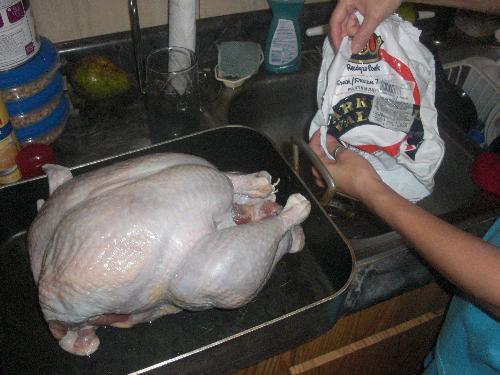 Deformed turkey! - a picture of a turkey when opened I found it with a missing wing