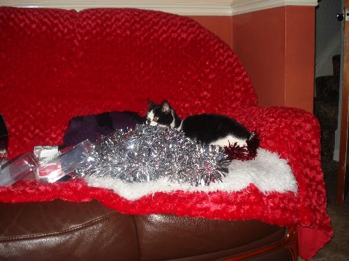 Flojo Making A Tinsel Nest - Rustle, Rustle, I Love Tinsel!