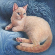 A picture of a flame point - Is this what Merlin looks kind of like?