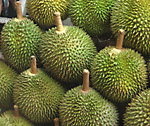 Durian Fruit - It is the main product of Davao,Philippines 