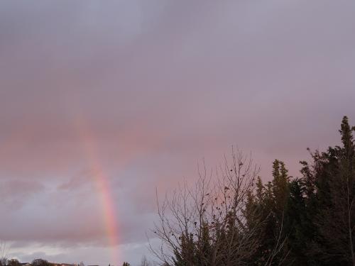 Rainbow - I saw this rainbow tonight just before sunset, even though it was not raining where I was.