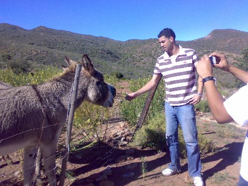 Feeding the donkey - How many times do our children get out in nature - away from computers? Feeding the donkey - How many times do our children get out in nature - away from computers?
