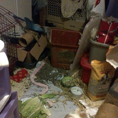 Marco's mess - Marco giant mess I came home too. 