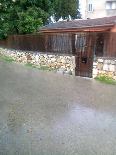 The street and my neighbor's house - You can see the fence of my neighbor that lives in front of my house across the street. He has 2 trees you can see an avocado tree and a grapefruit tree. His fence is made of bamboo branches.