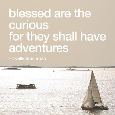 Adventures for the curious mind - The curious always have interesting adventures
