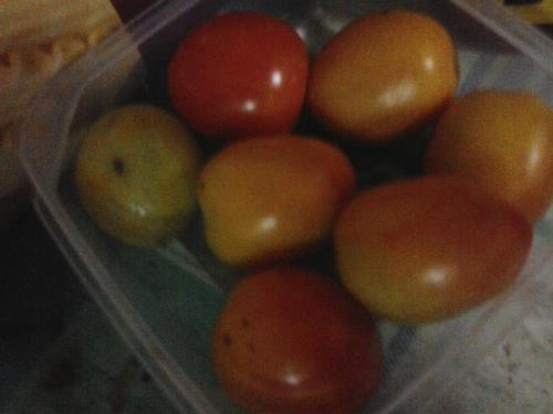 Fresh tomatoes - This could be part of paleo diet