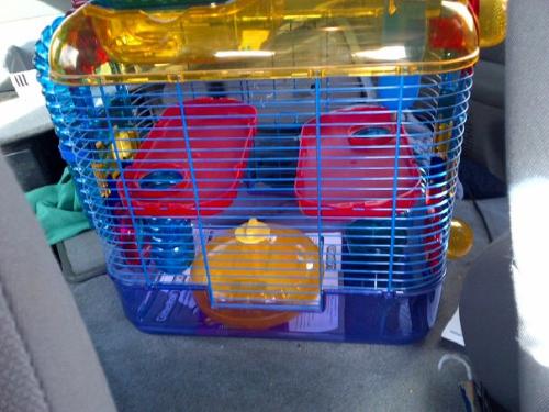 Hamster cage - Hamster cage I bought