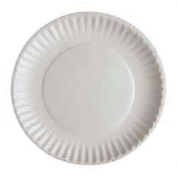 Paper plates - I use them all the time.