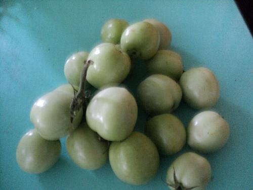 Tomatoes - Small or big, tomatoes are nutritious just the same.