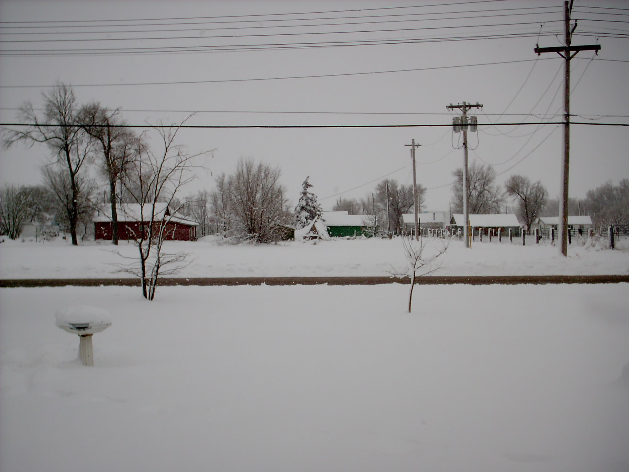 First Day of Spring - This was the image out my front door on the first day of spring, 2006.