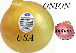 Everything is big in the US - The size of the onions in the US is almost 5 times that of what we get in India.