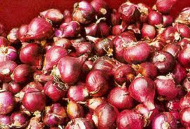 red onion - items was scarce and expensive