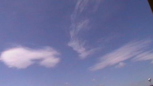 sunnyblueskies2 - nice shaped cloud. what do reckon it could be?