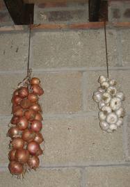 Onions stored for the rains - This is how it was during my mother's days