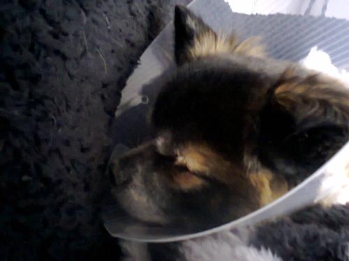 Me  - This was me 4 hours after my Operation 
Mum said the thing round my neck was a space Helmet so I was Spaceman Gissi 