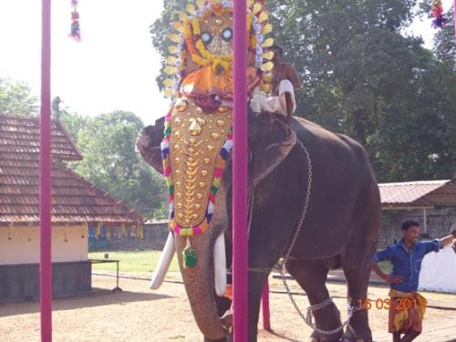 temple festivals in kerala,india. - its the custom of kerala temple festivals and we are treating elephants as gods vehicle or sometimes elephants are gods. temple festivals in kerala,india. - its the custom of kerala temple festivals and we are treating elephants as gods vehicle or sometimes elephants are gods.