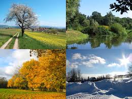 Four Seasons - Winter, Spring, Summer and Fall