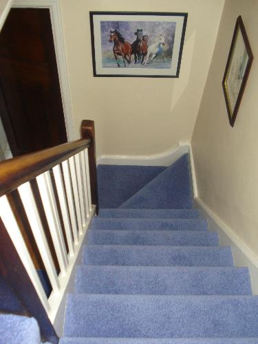 Mum&#039;s New Stair Carpet From The Top - Mum&#039;s New Lapis Lazuli Stair Carpet!