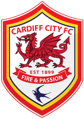 Cardiff City have succeeded in getting into the En - Cardiff City have succeeded in getting into the English Premier League.