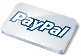 pays via pay pal. The electronic online payment system.