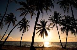 caribbean - caribbean