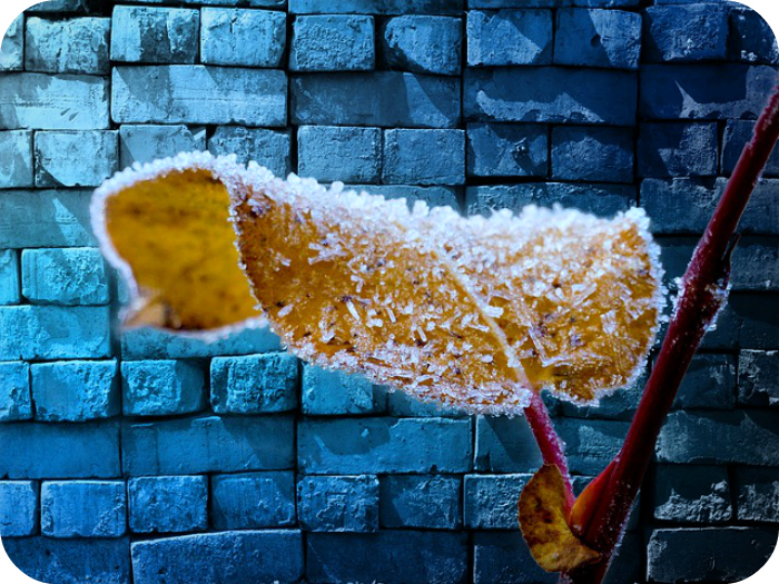 Daily Poetry and Stories Portal - It Take Years to Build up Trust but Only a Second to Damage it Daily Poetry and Stories Portal - It Take Years to Build up Trust but Only a Second to Damage it