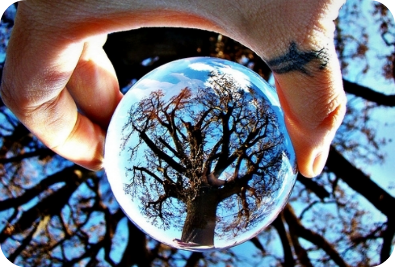 Daily Poetry and Stories Portal - Wisdom is Attained When we can Put Away our Greediness Daily Poetry and Stories Portal - Wisdom is Attained When we can Put Away our Greediness
