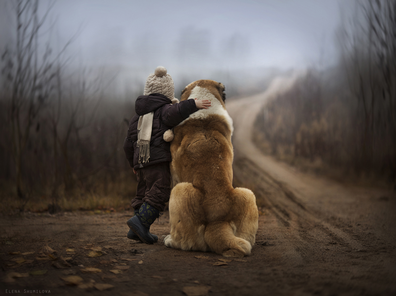 Daily Poetry and Stories Portal - The Best People in Our Life are Those who give us an Unforgettable Memories Daily Poetry and Stories Portal - The Best People in Our Life are Those who give us an Unforgettable Memories