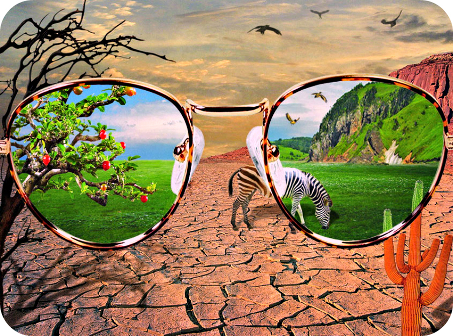 Daily Poetry and Stories Portal - The One who Spends Their Time Looking for Faults in Others Usually have No Time for Themselves - Easy Branches Daily Poetry and Stories Portal - The One who Spends Their Time Looking for Faults in Others Usually have No Time for Themselves - Easy Branches