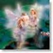 fairy - little fairy babies in the flower
