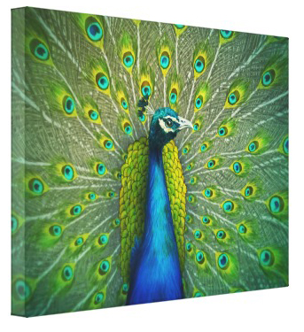 Wildlife on Canvas