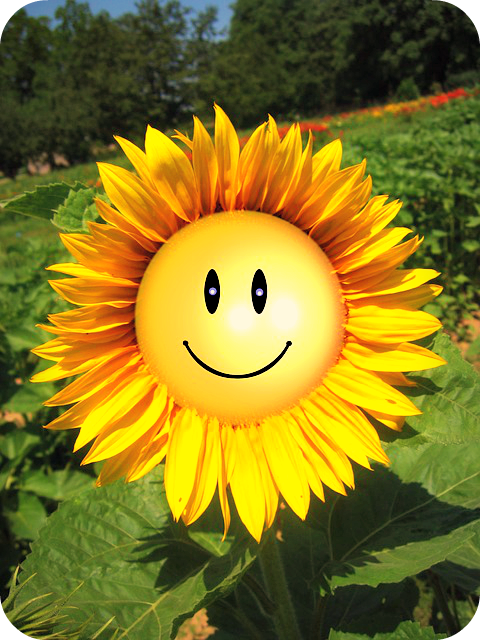Daily Poetry and Stories Portal - Always Begin our New Day with a Broad Smile Daily Poetry and Stories Portal - Always Begin our New Day with a Broad Smile