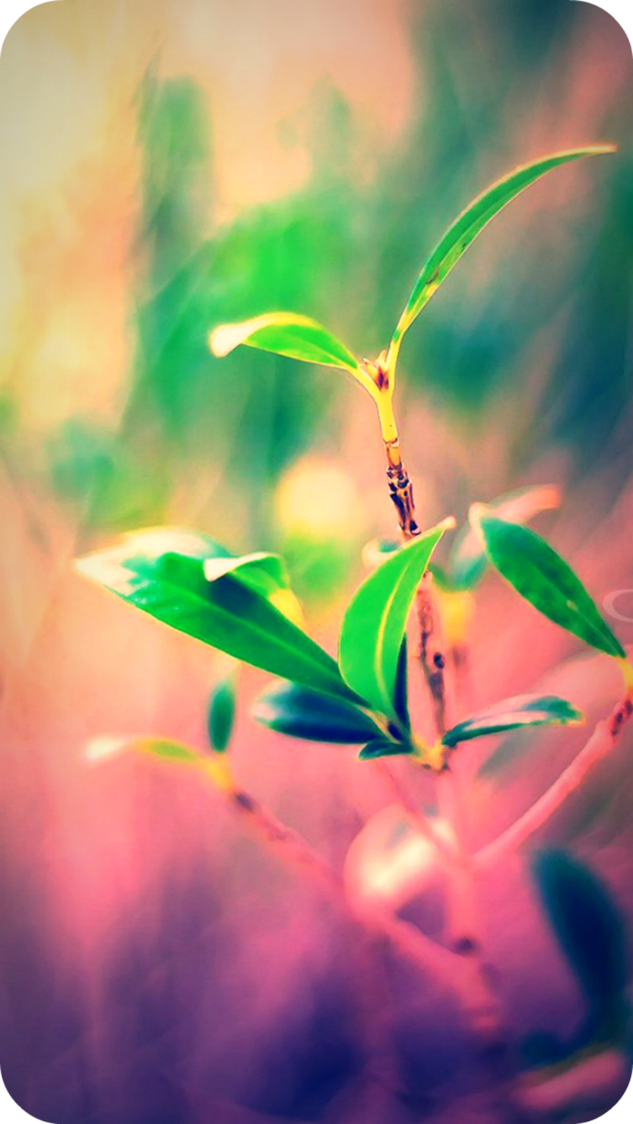Daily Poetry and Stories Portal - Never let the Success to Rise Above our Head Daily Poetry and Stories Portal - Never let the Success to Rise Above our Head