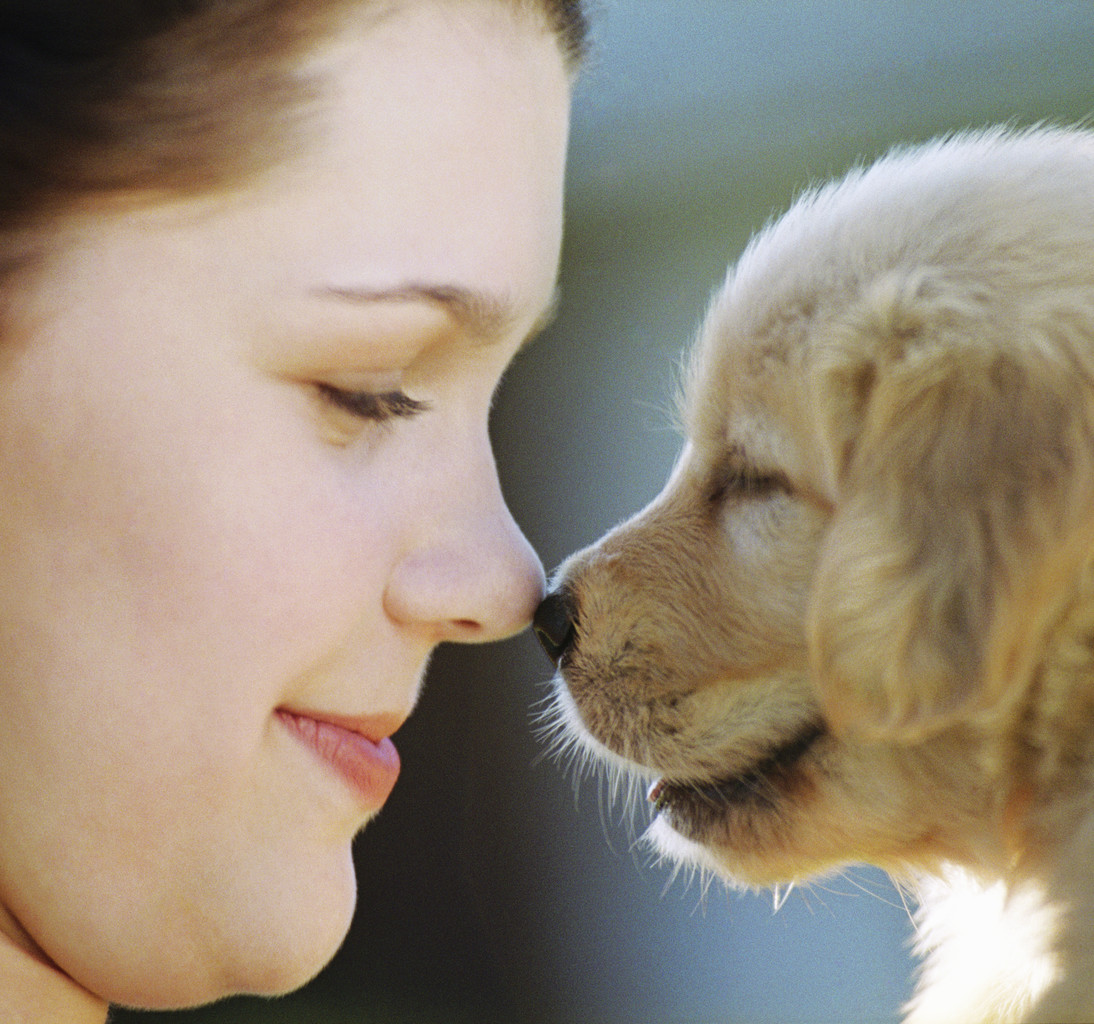 Женщина любит животных. Собака друг человека. Любовь человека к животным. Животные друзья человека. Любовь собаки к человеку.