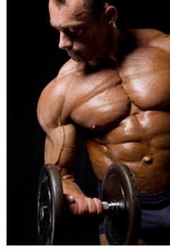 Visual Impact Muscle Building