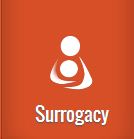 Indian Surrogacy Program